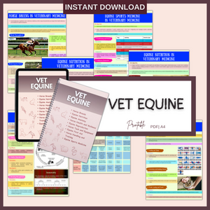 The Complete Vet School Bundle | Spiral + Digital