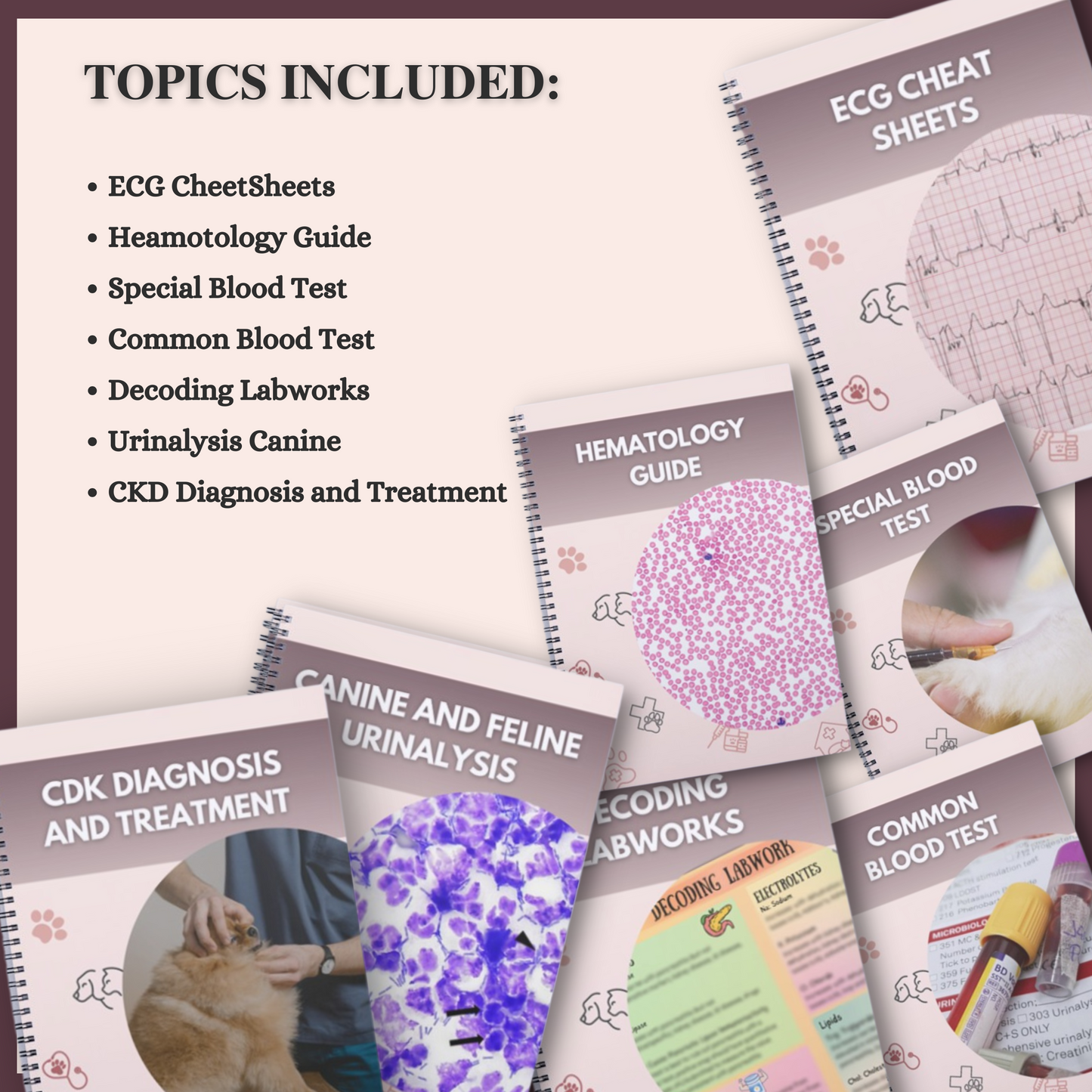 Diagonostic Medicine|23 Pages| 7 Topics