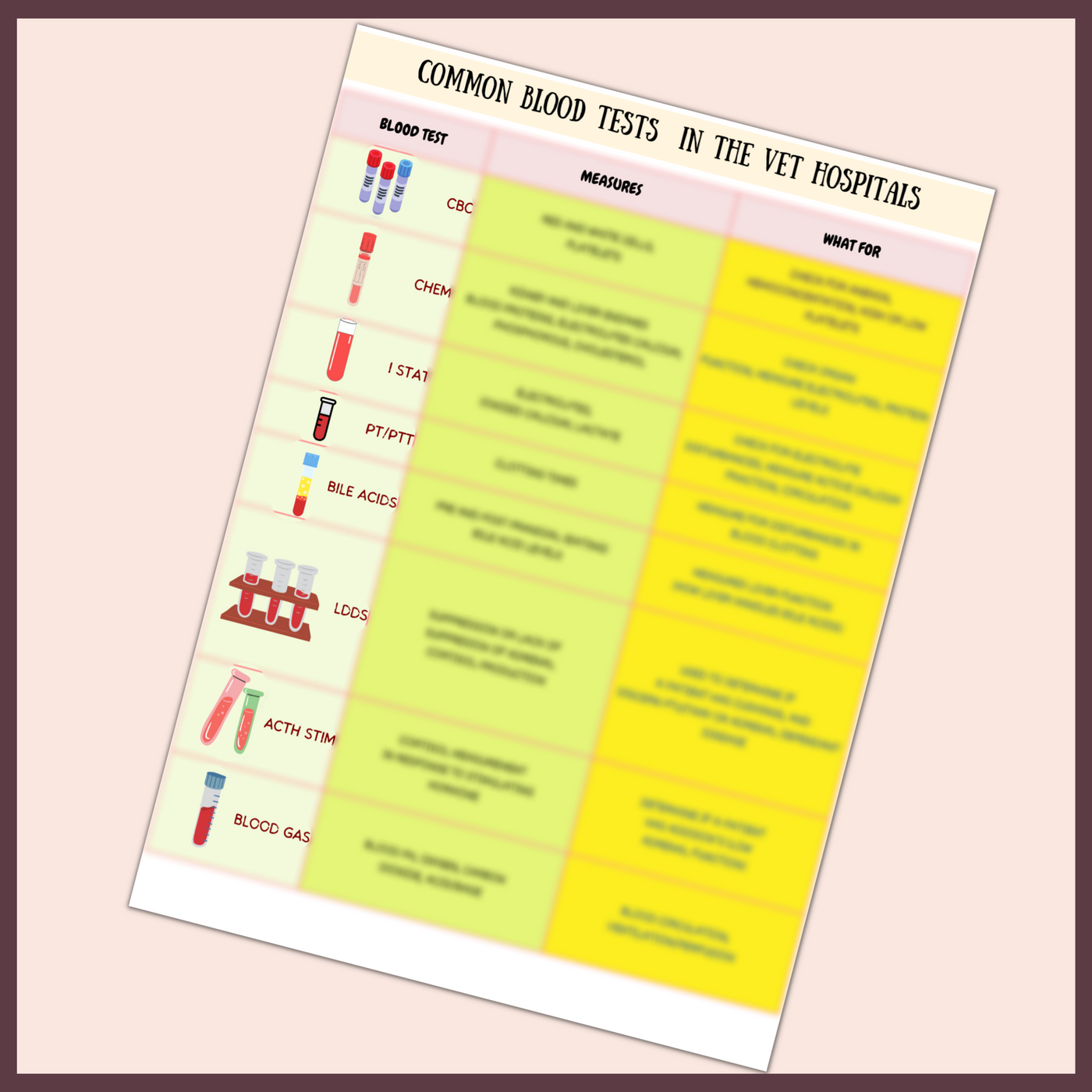 common-blood-tests-3-pages-1-topic-vet-focus