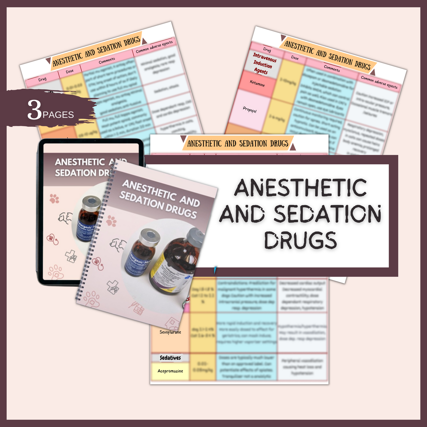 VET Anesthesia and Sedation|10 Pages| 6 Topics