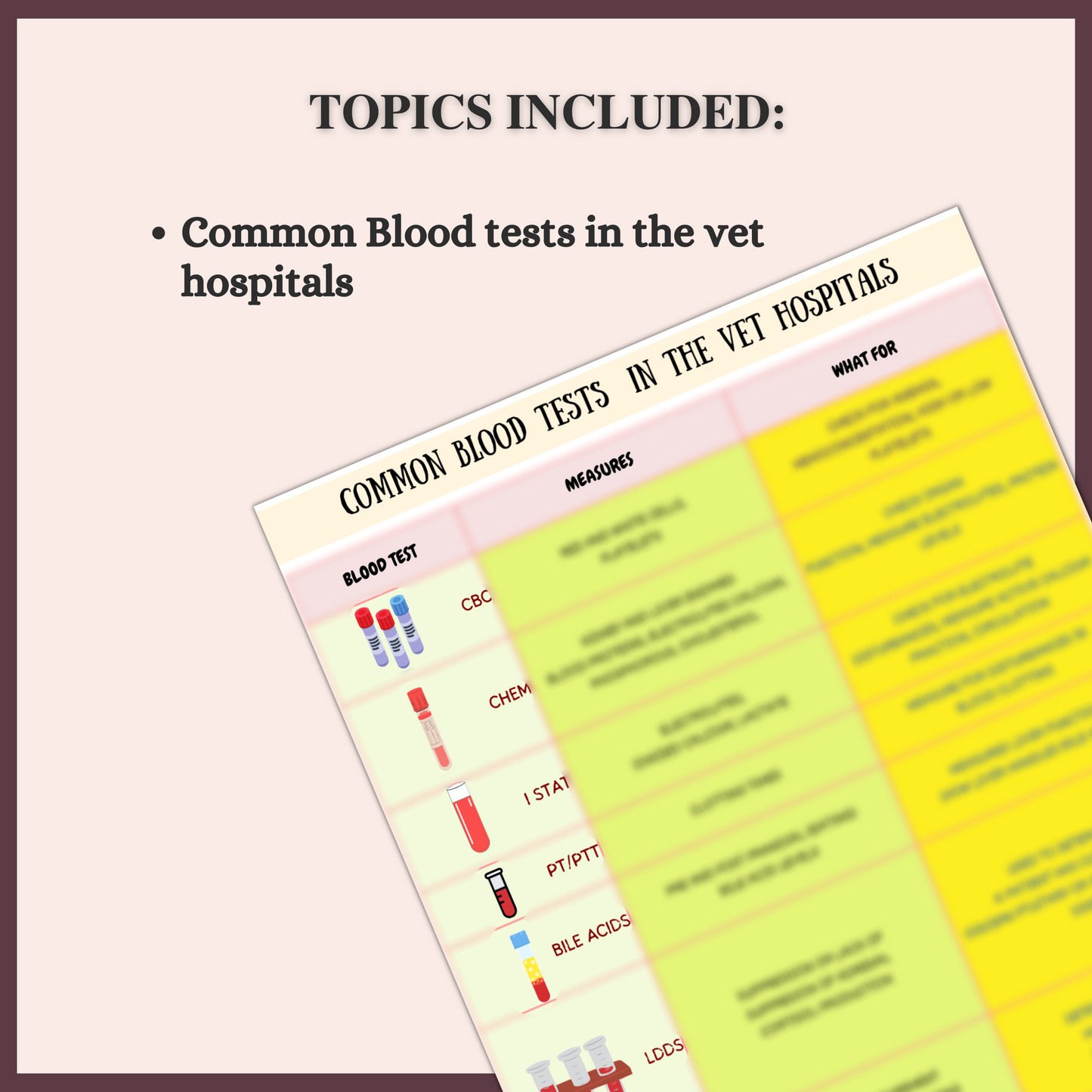 COMMON BLOOD TESTS | 3 PAGES |1 TOPIC