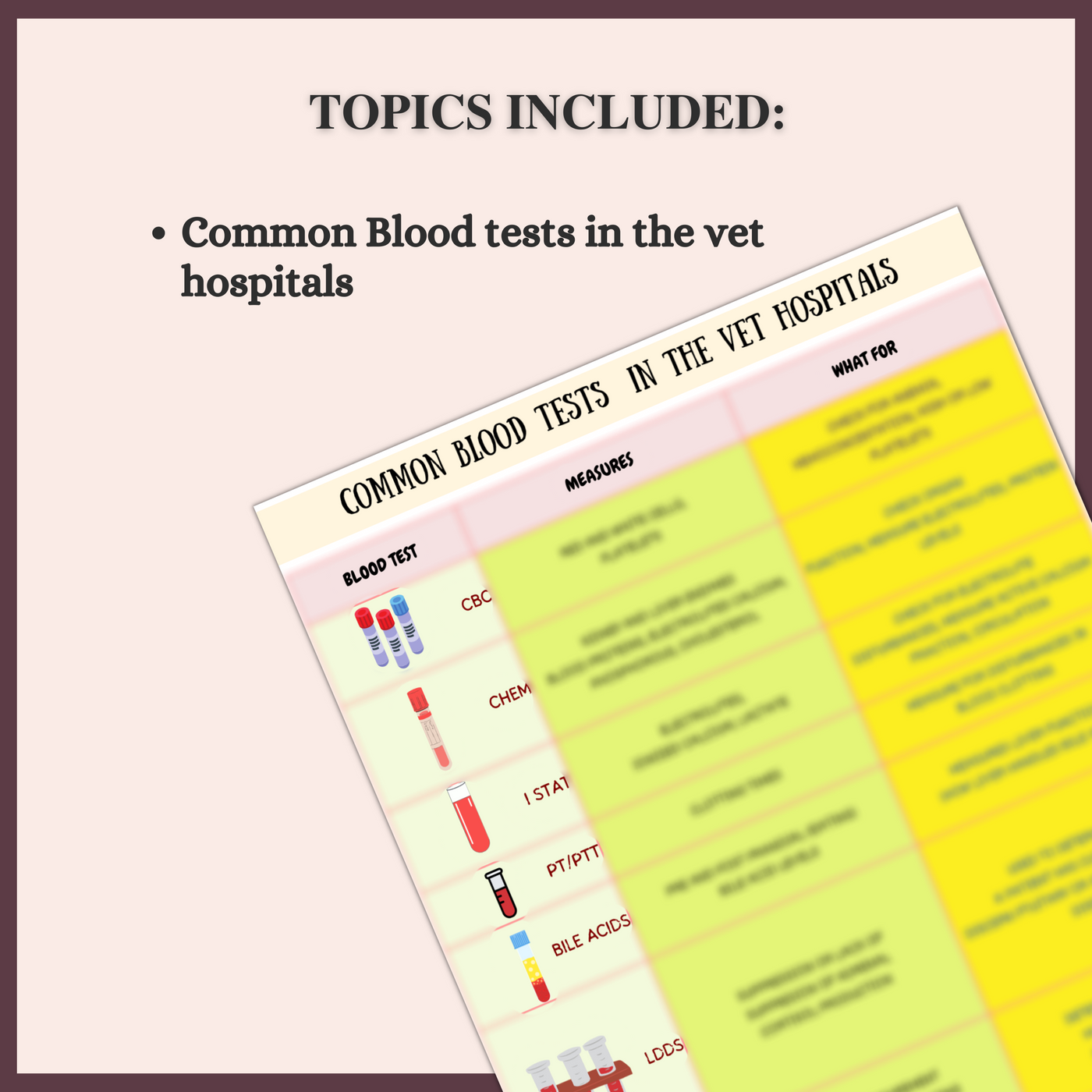 common-blood-tests-3-pages-1-topic-vet-focus