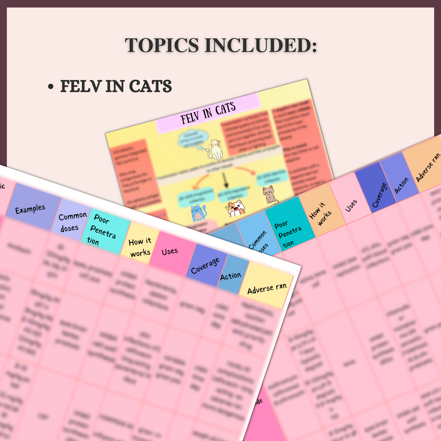 FELV IN CATS |3 PAGES | 1 TOPIC