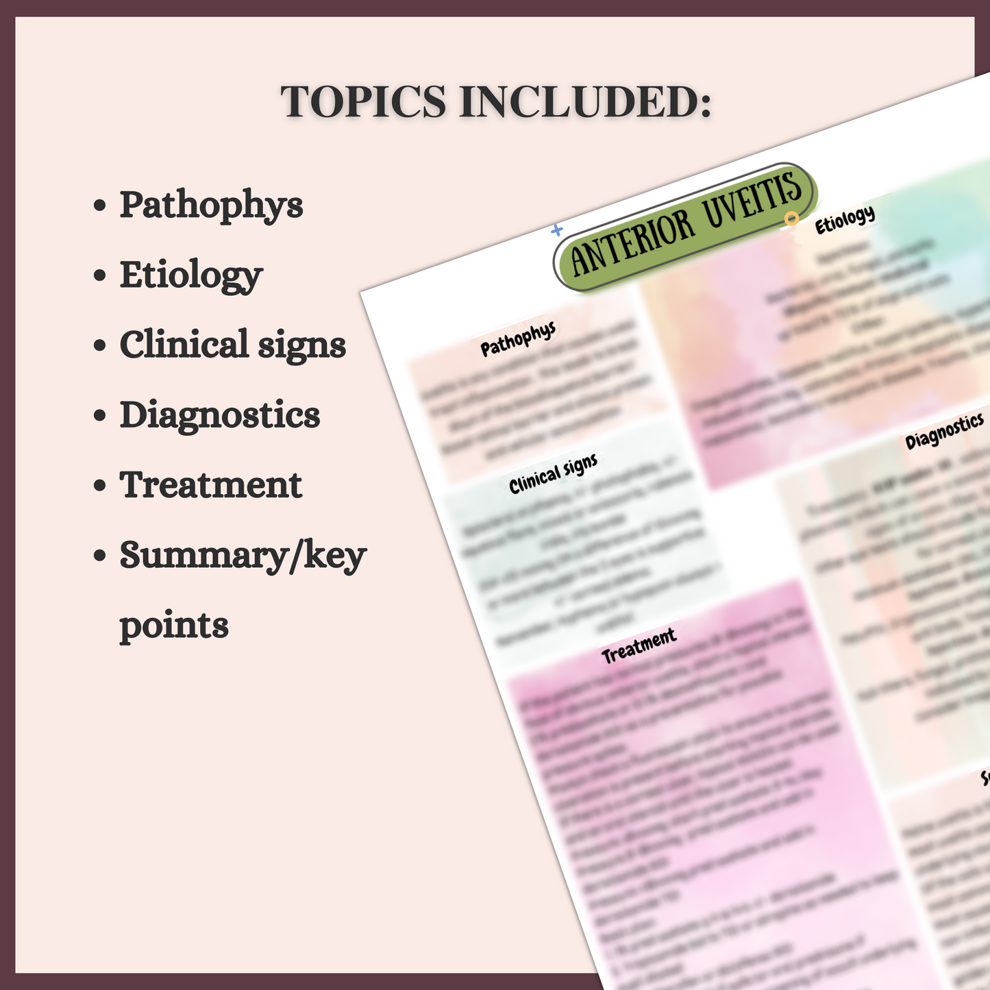 ANTERIOR UVEITIS| 1 PAGE| 6 TOPICS