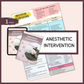 VET Anesthesia and Sedation|10 Pages| 6 Topics