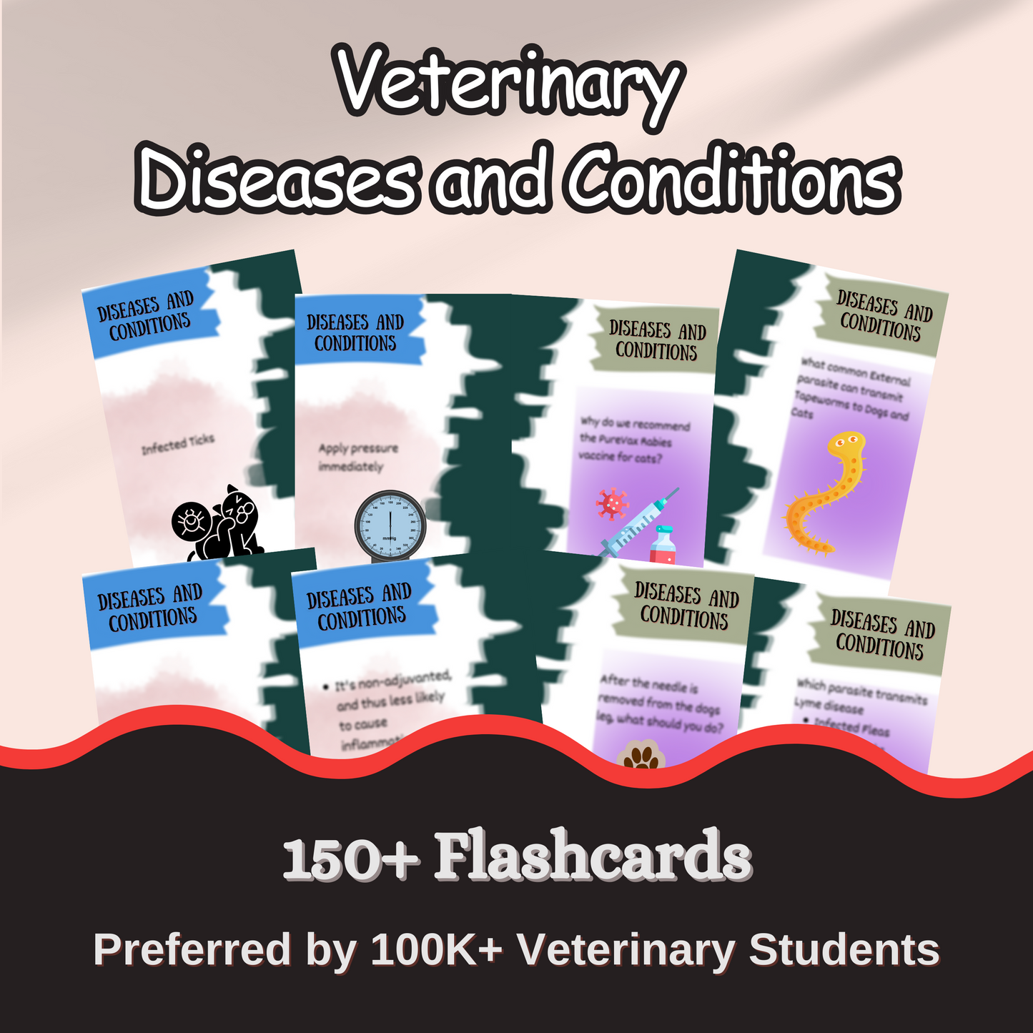 3000+ Flash Cards and Quiz Bundle for VTNE and Vet School Prep