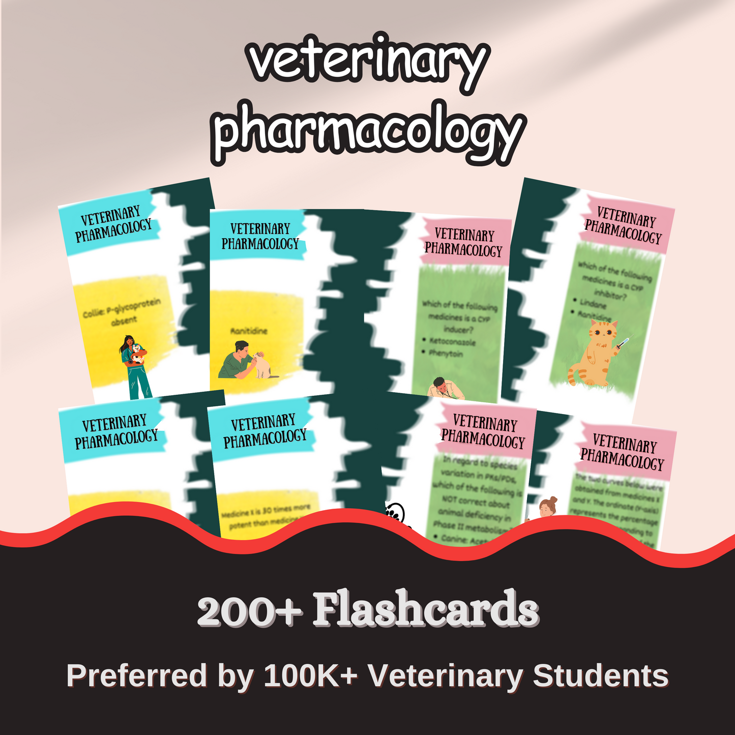 3000+ Flash Cards and Quiz Bundle for VTNE and Vet School Prep