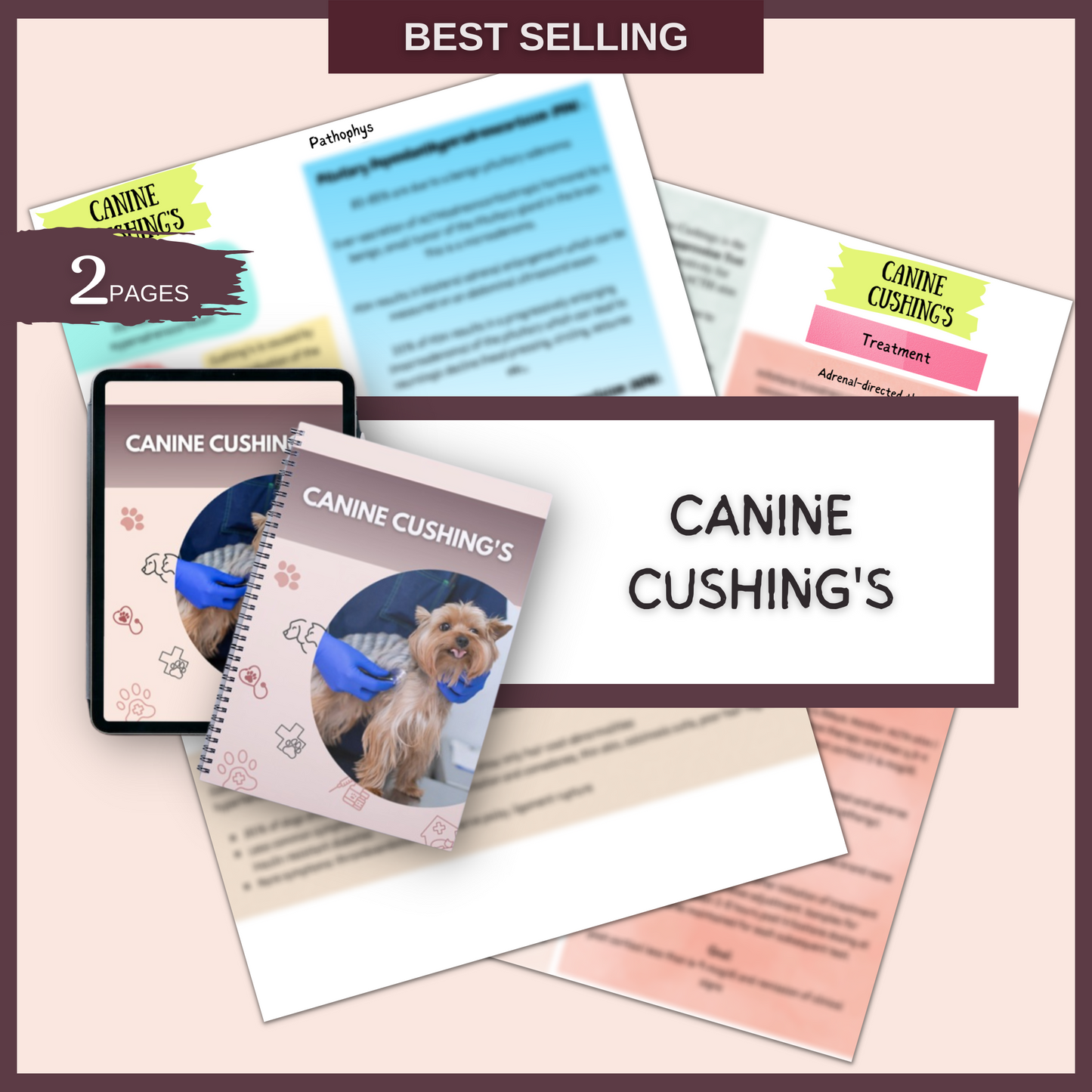 CANINE /FELINE ENDOCRINE BUNDLE | 17 Pages | 6 Topics