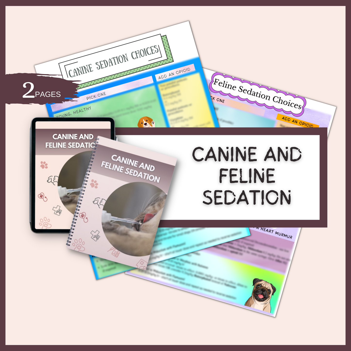 VET Anesthesia and Sedation|10 Pages| 6 Topics