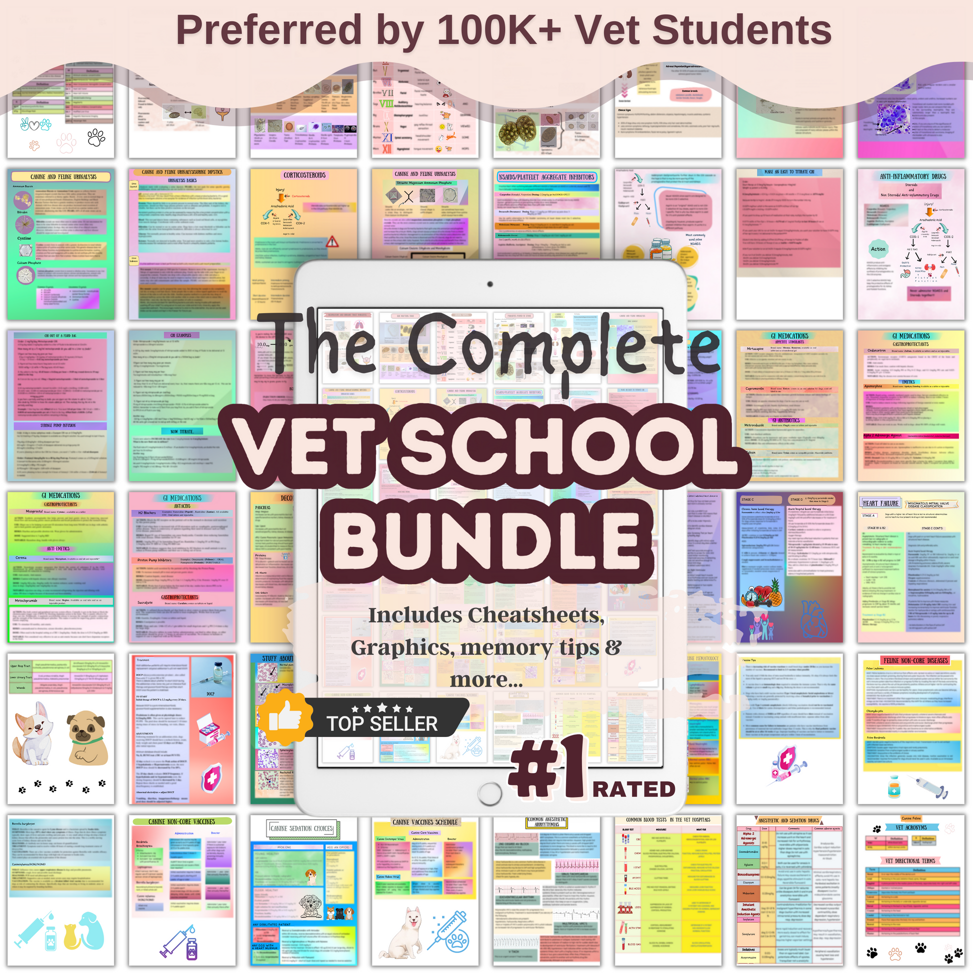 The Complete Vet School Bundle | Spiral + Digital