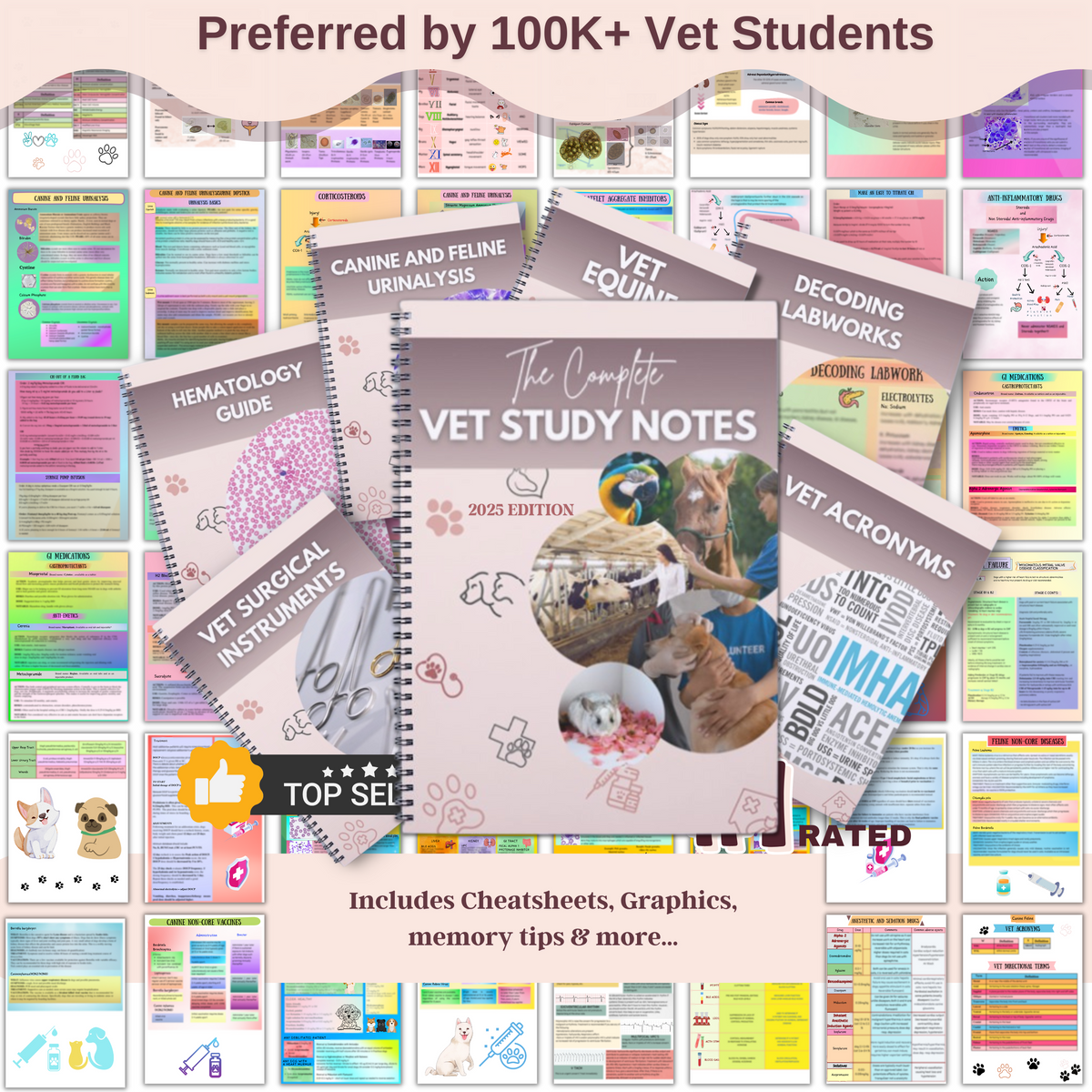 Collections – Vet Focus