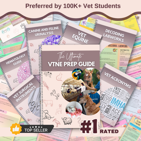 Ultimate VTNE Pack