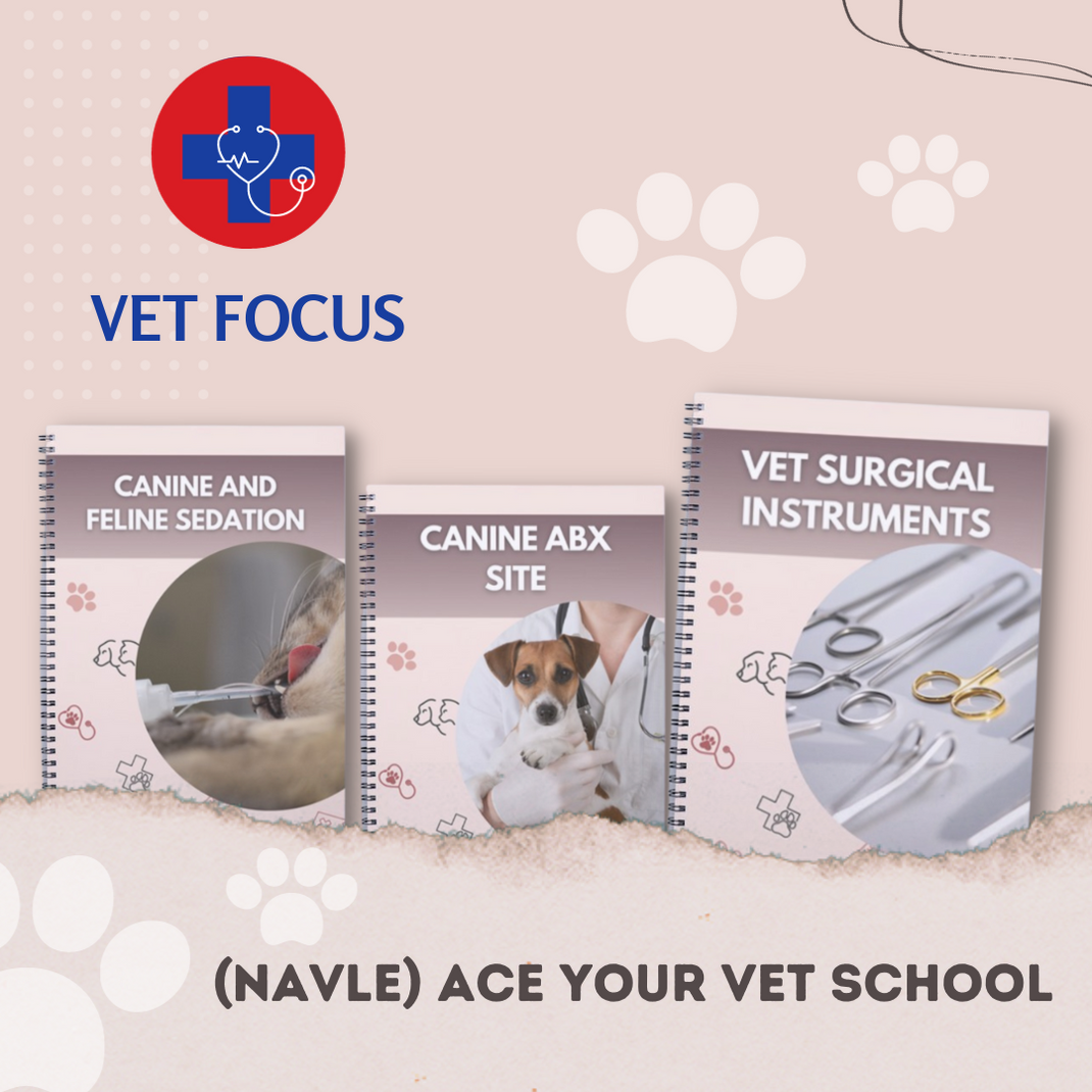 about – Vet Focus